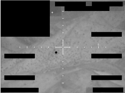 fbi-photo-a5 (1).png